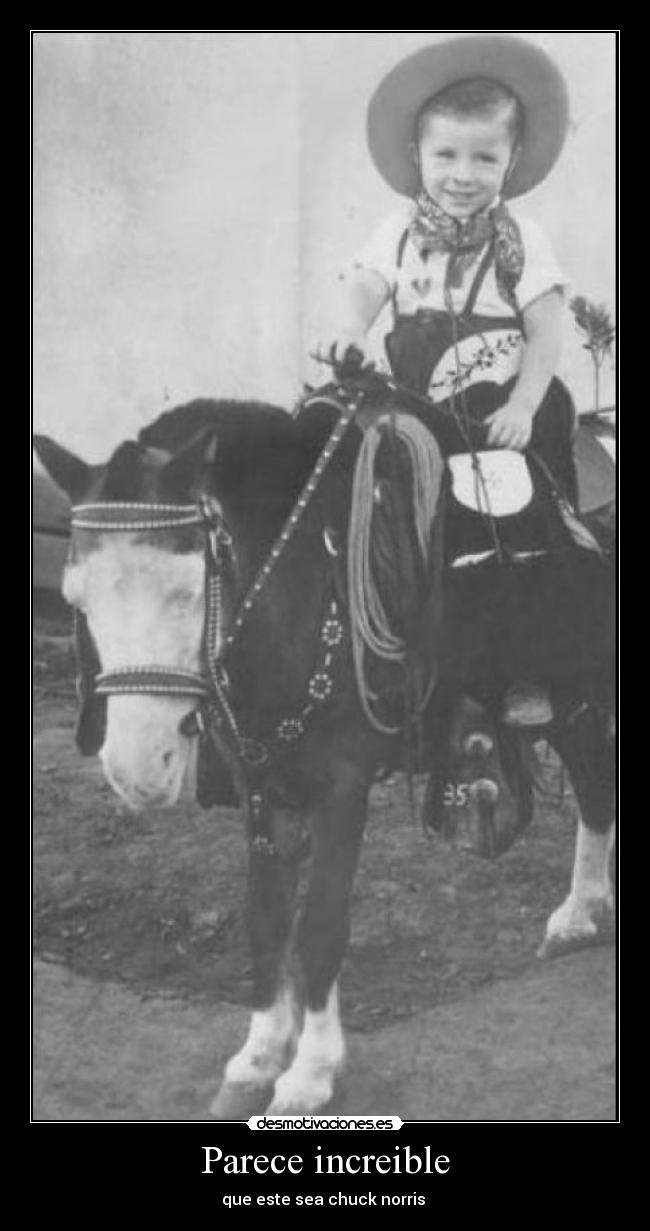 Parece increible - que este sea chuck norris