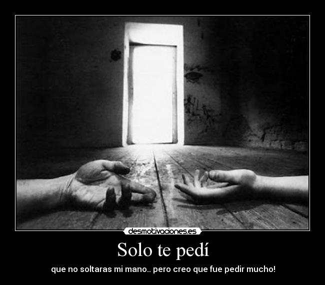Solo te pedí -