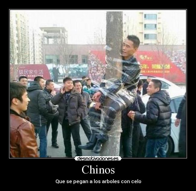 Chinos -