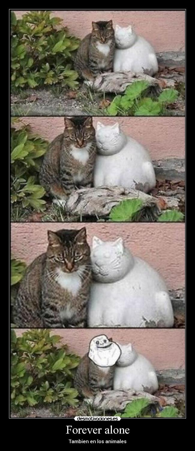 Forever alone - Tambien en los animales