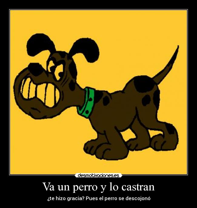 Va un perro y lo castran - ¿te hizo gracia? Pues el perro se descojonó