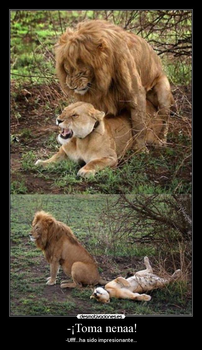 -¡Toma nenaa! - -Ufff...ha sido impresionante...