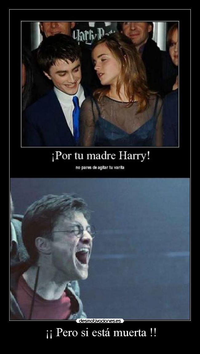 carteles harry potter desmotivaciones