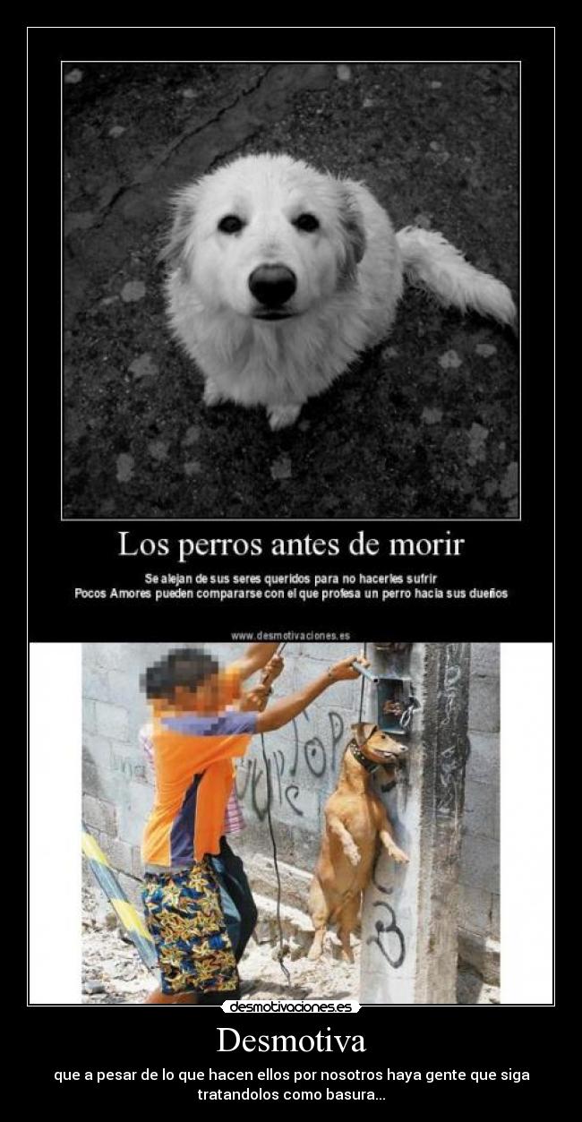 Desmotiva - que a pesar de lo que hacen ellos por nosotros haya gente que siga
tratandolos como basura...