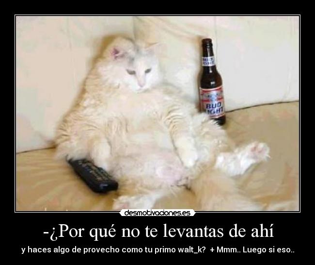 -¿Por qué no te levantas de ahí -