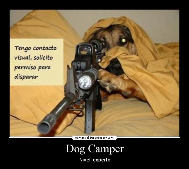 Dog Camper - 