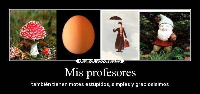 Mis profesores -