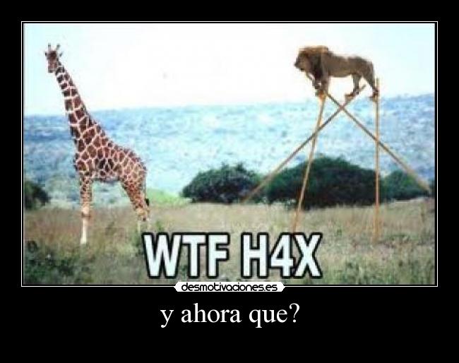 y ahora que? - 