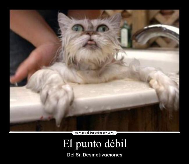 El punto débil - 