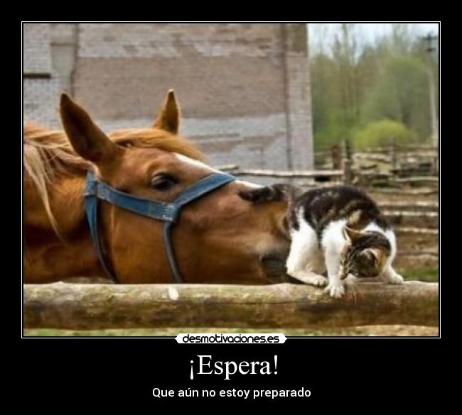 ¡Espera! - Que aún no estoy preparado