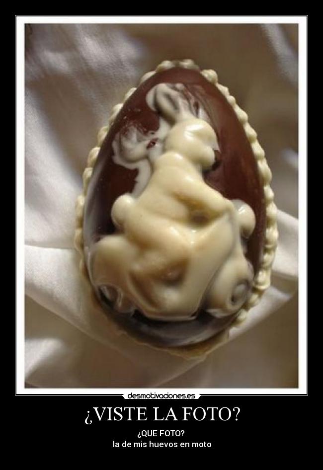 ¿VISTE LA FOTO? - 