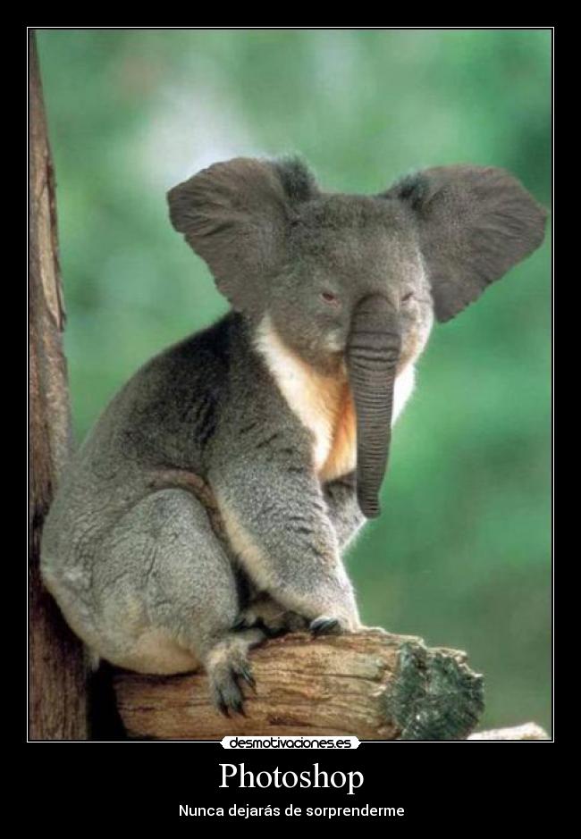 Photoshop - Nunca dejarás de sorprenderme
