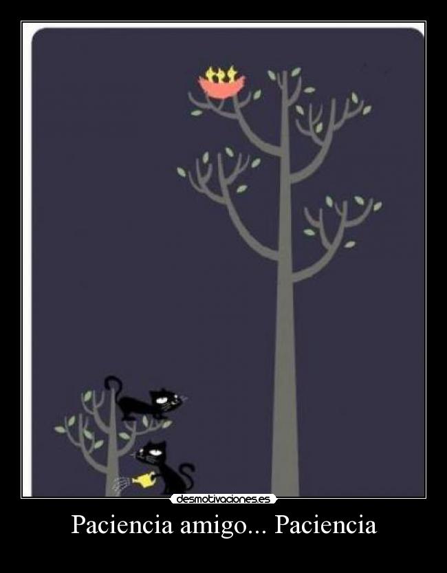 Paciencia amigo... Paciencia - 