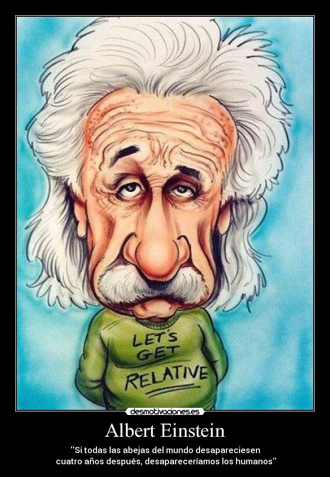 Albert Einstein -