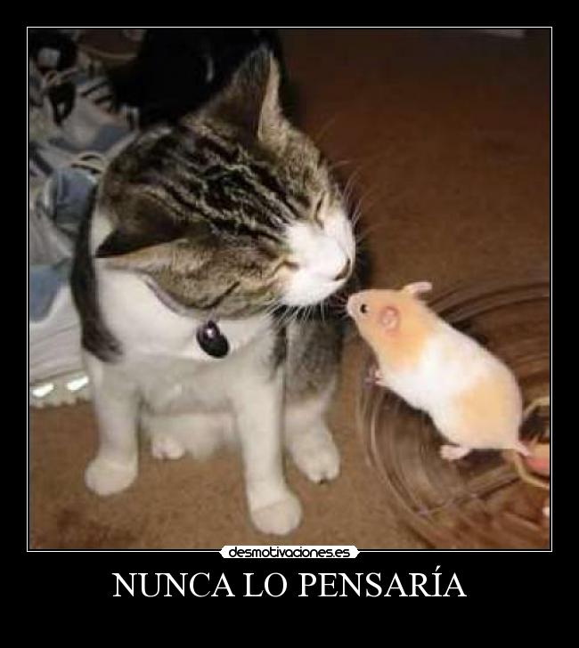 NUNCA LO PENSARÍA -