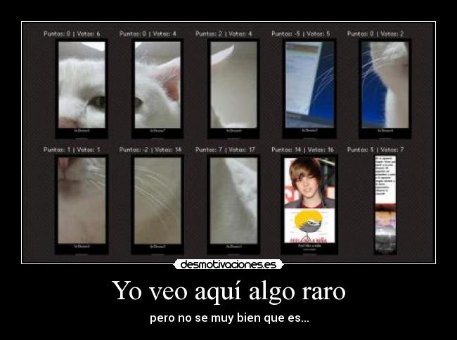 Yo veo aquí algo raro - pero no se muy bien que es...