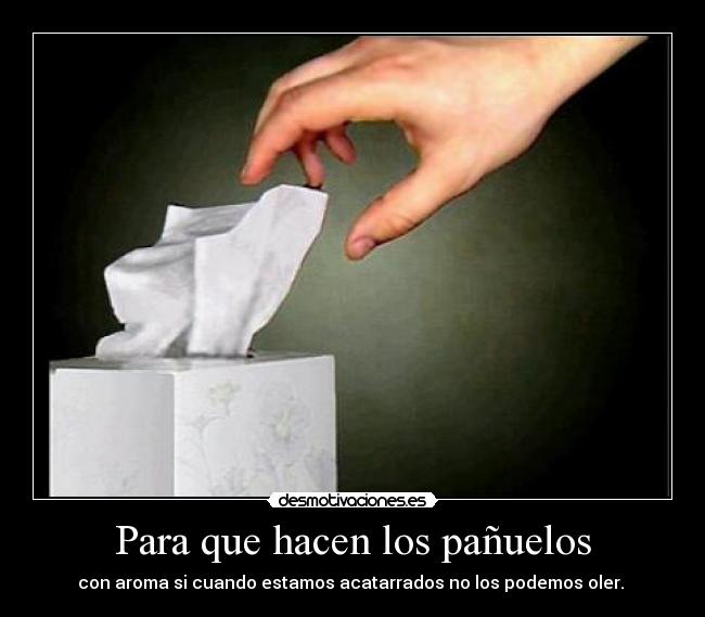 Para que hacen los pañuelos - con aroma si cuando estamos acatarrados no los podemos oler.