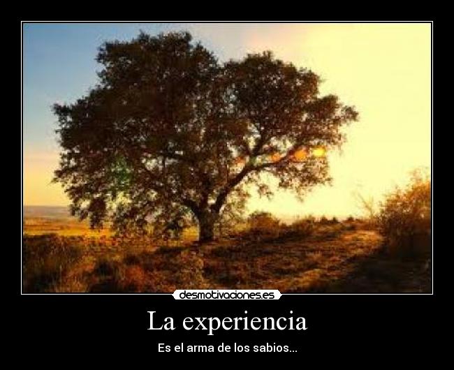 carteles sabiduria desmotivaciones