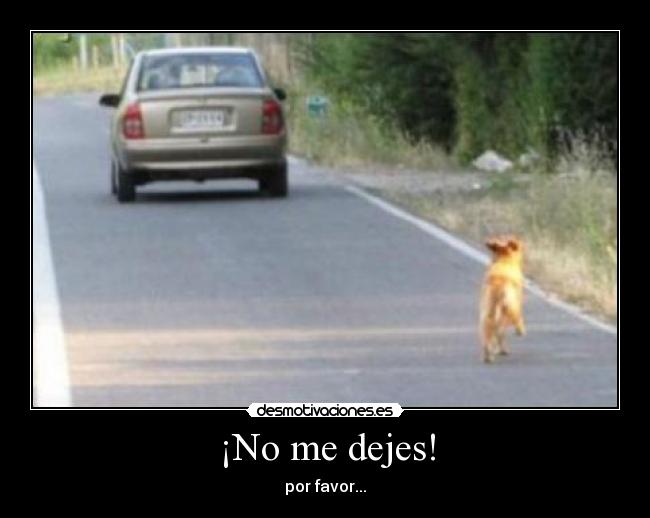 ¡No me dejes! - 