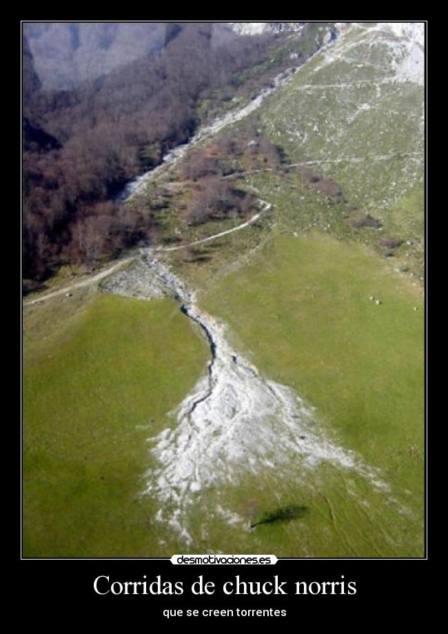Corridas de chuck norris - que se creen torrentes