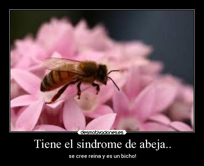 Tiene el sindrome de abeja.. - se cree reina y es un bicho!