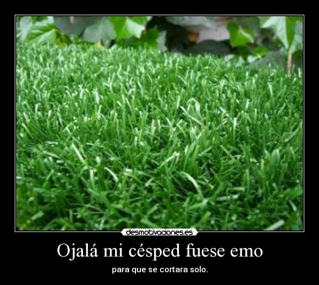 Ojalá mi césped fuese emo -