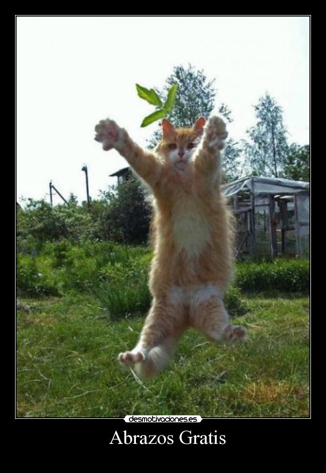 carteles abrazos abrazos gratis desmotivaciones