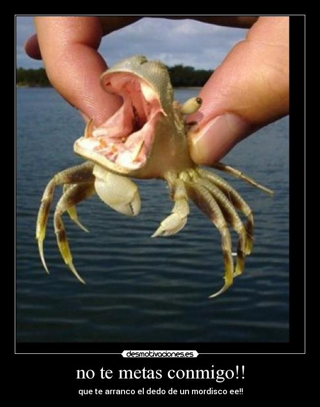 no te metas conmigo!! -