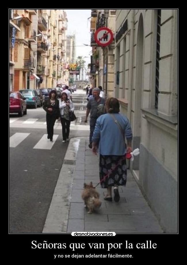 carteles senoras que van por calle desmotivaciones