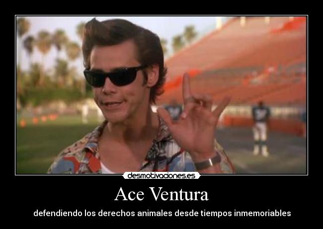 Ace Ventura -