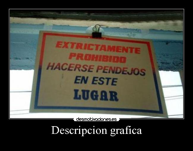 Descripcion grafica -
