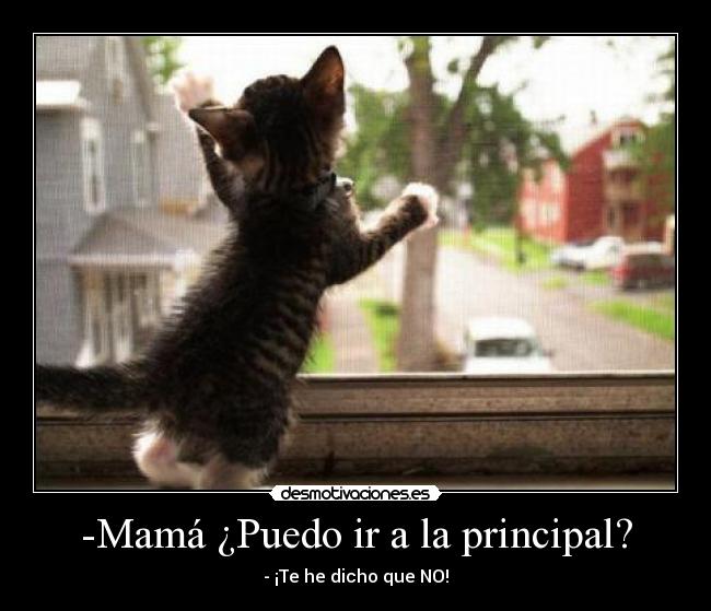 -Mamá ¿Puedo ir a la principal? -