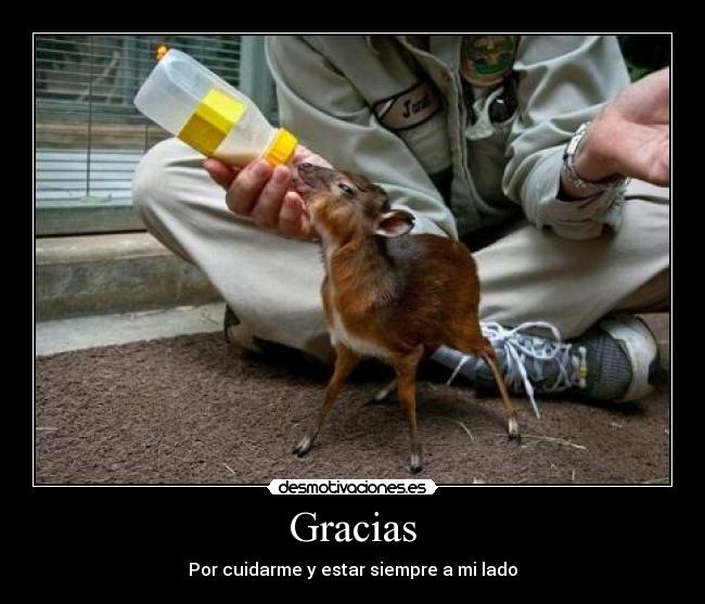 Gracias -