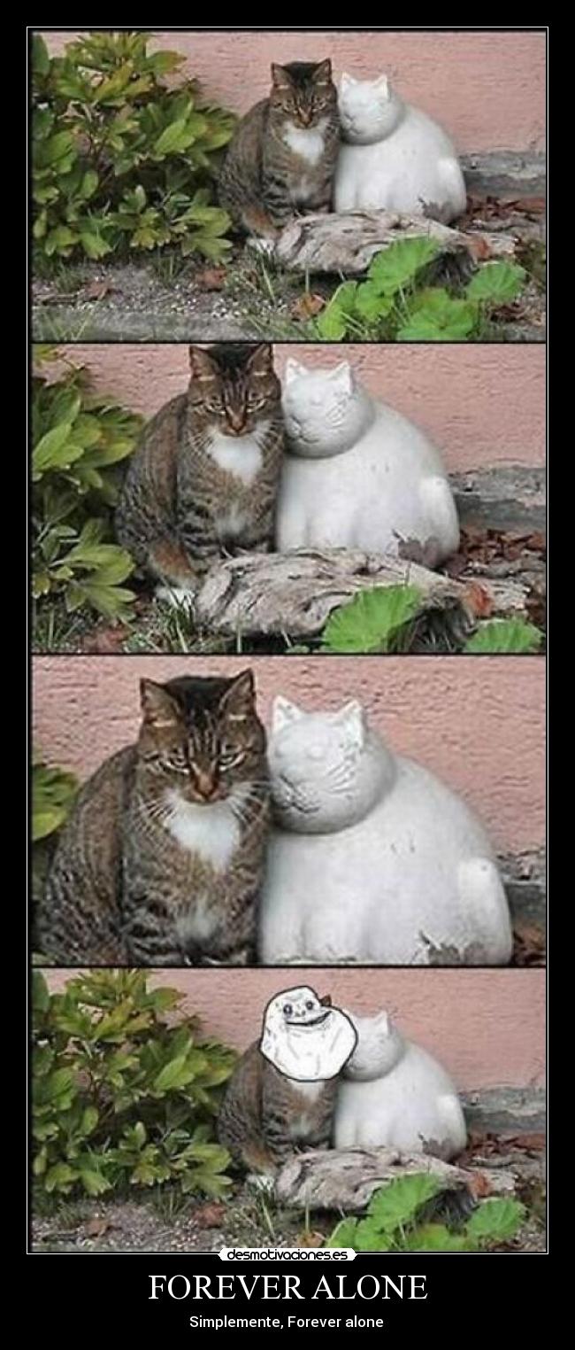 FOREVER ALONE -