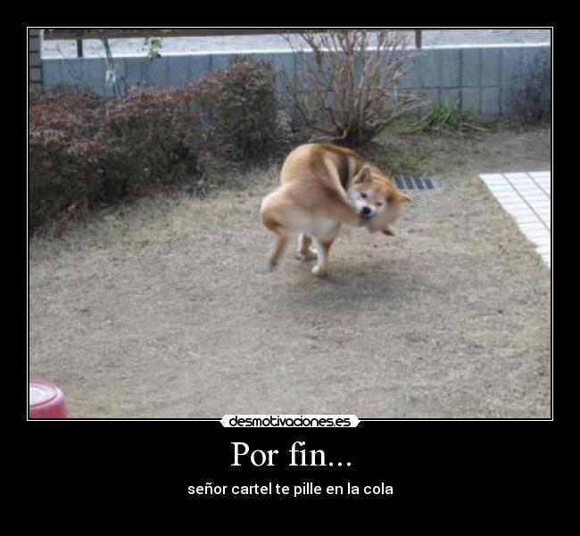 Por fin... -
