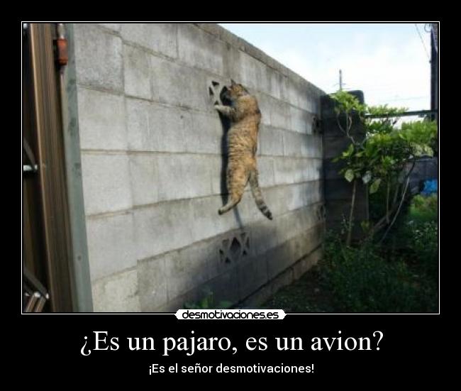 carteles experience walkthrough gametrailers posted xbox 360 dashboard walkthrough hacking gamertag suspene desmotivaciones