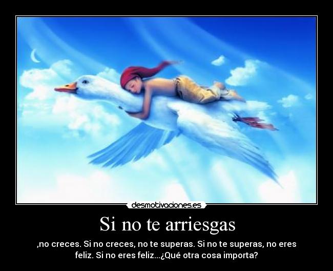 Si no te arriesgas - ,no creces. Si no creces, no te superas. Si no te superas, no eres
feliz. Si no eres feliz...¿Qué otra cosa importa?