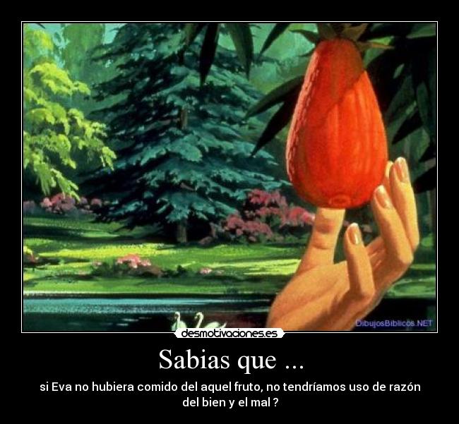 Sabias que ... -