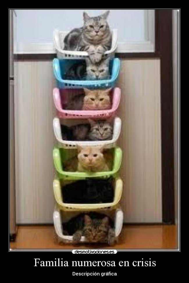Familia numerosa en crisis - 