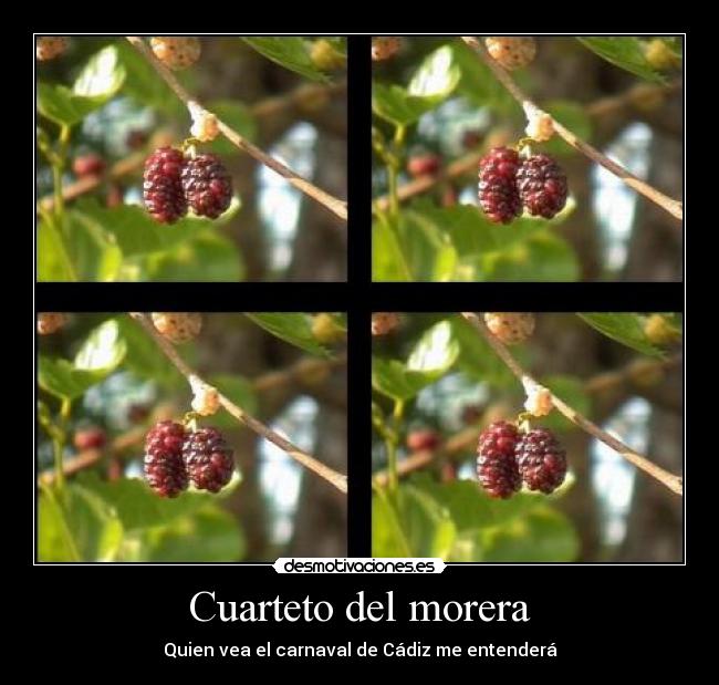 Cuarteto del morera - Quien vea el carnaval de Cádiz me entenderá