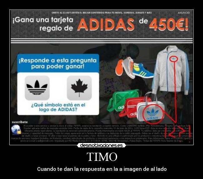 TIMO - Cuando te dan la respuesta en la a imagen de al lado