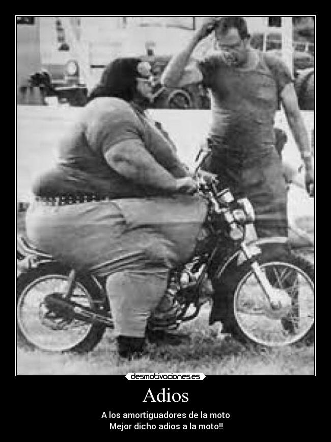 Adios - A los amortiguadores de la moto
Mejor dicho adios a la moto!!