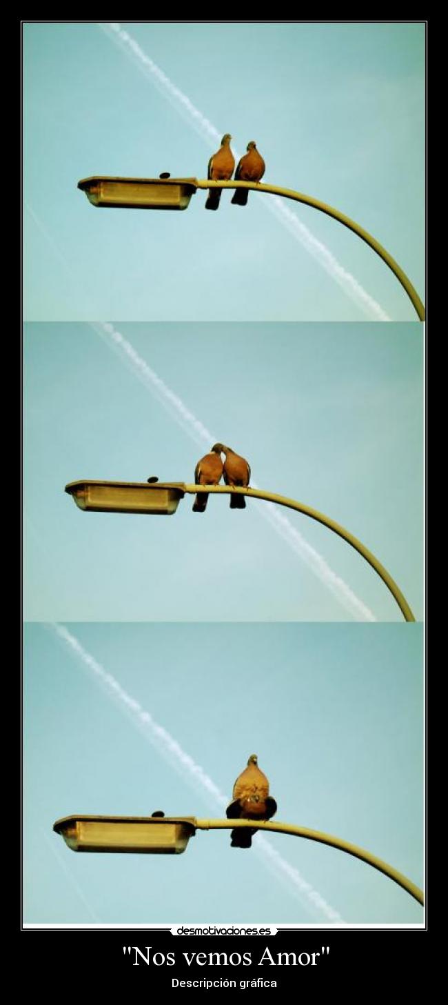 Nos vemos Amor -