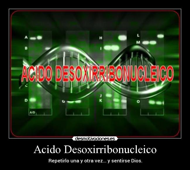 carteles acido desoxirribonucleico desmotivaciones