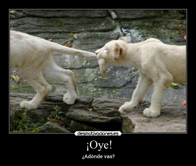 ¡Oye! - ¿Adónde vas?