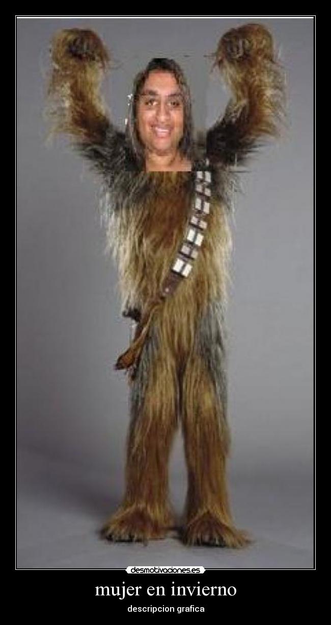 mujer en invierno - descripcion grafica