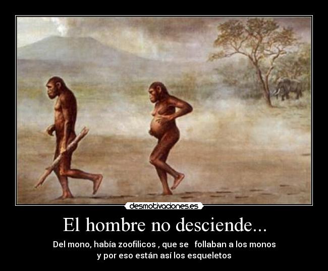 El hombre no desciende... -