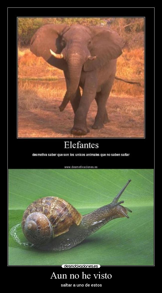 Aun no he visto - saltar a uno de estos