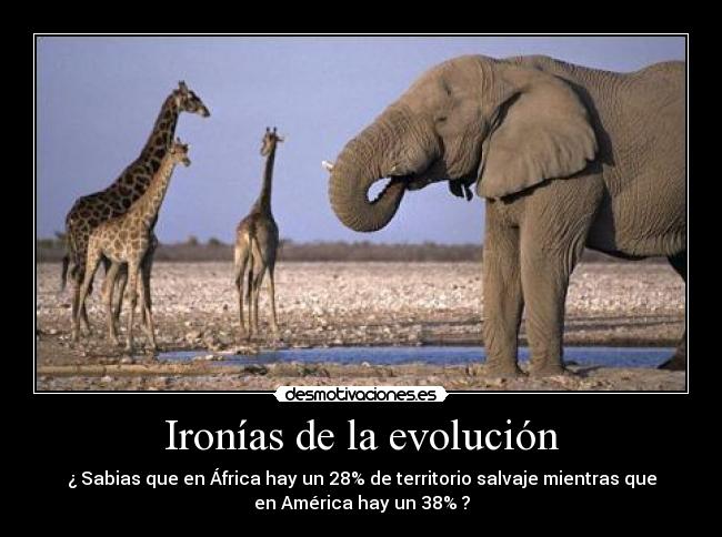 Ironías de la evolución - 