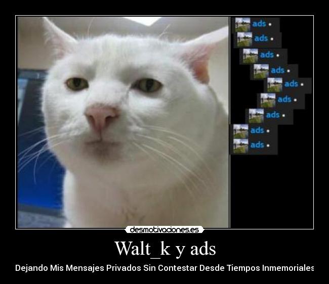 Walt_k y ads -